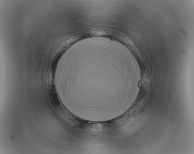 X0000113050330200909241500