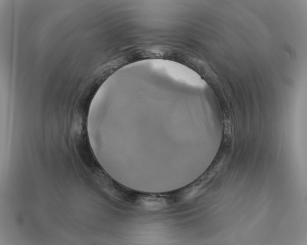 X0000113050331200909241500