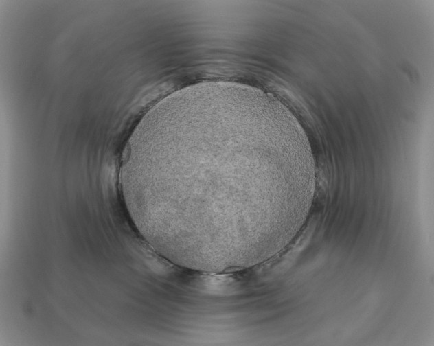 X0000113050333200909241500