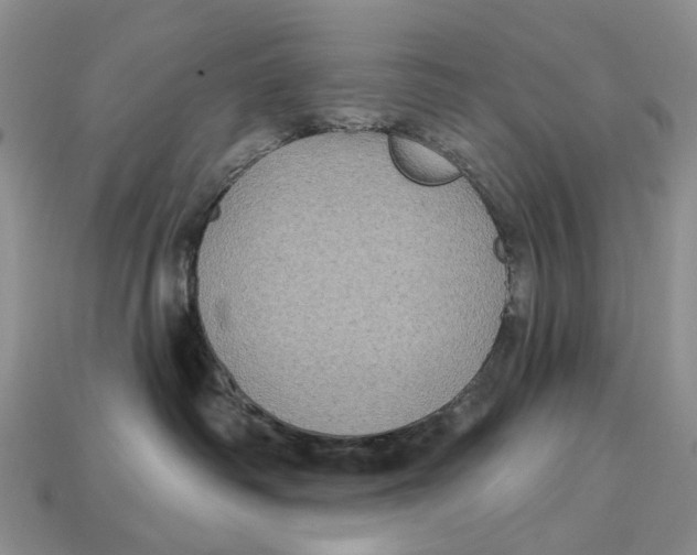 X0000113050334200909241500