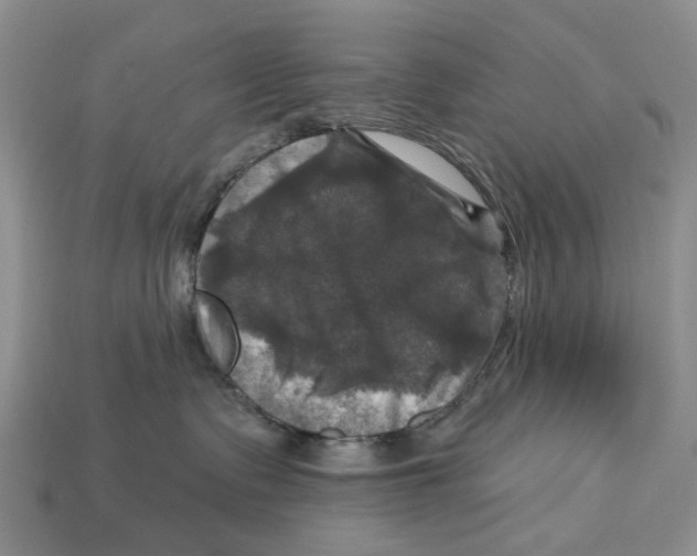 X0000113050335200909241500