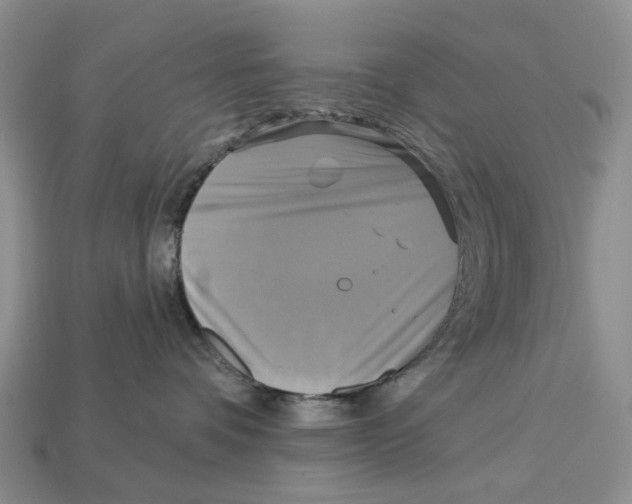 X0000113050336200909241500
