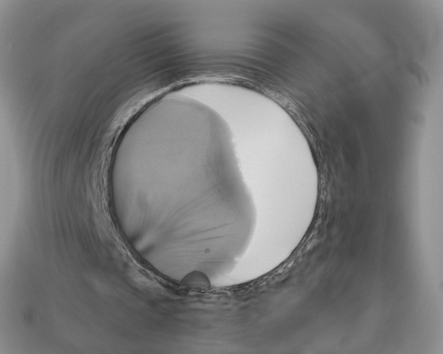 X0000113050337200909241459