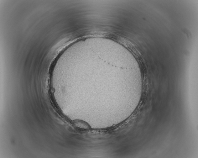 X0000113050338200909241459
