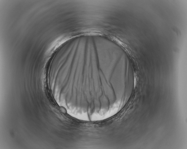 X0000113050339200909241459