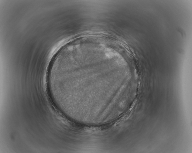 X0000113050340200909241459