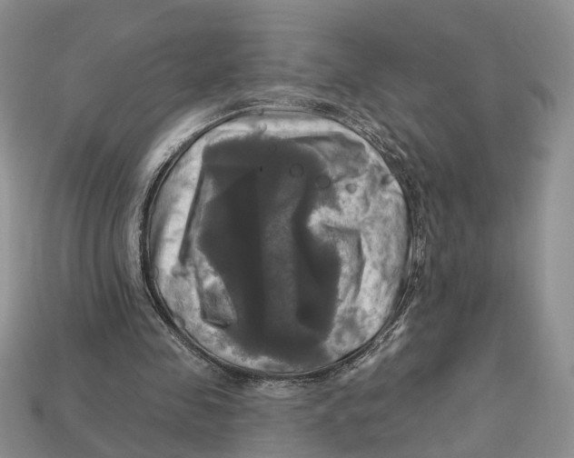 X0000113050341200909241459
