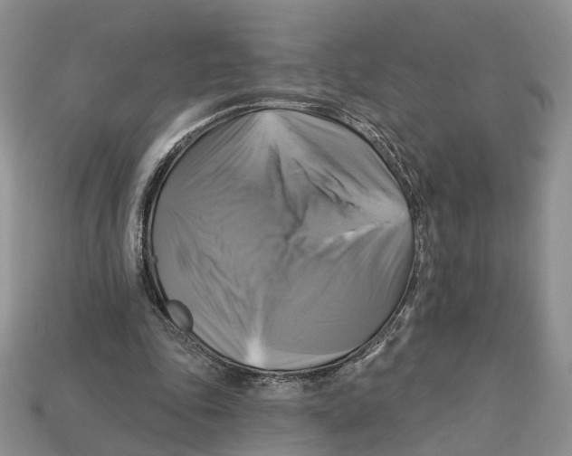 X0000113050343200909241459