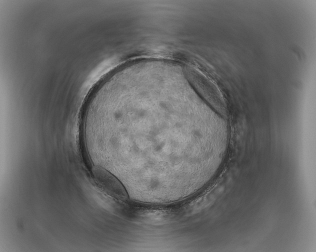 X0000113050344200909241459