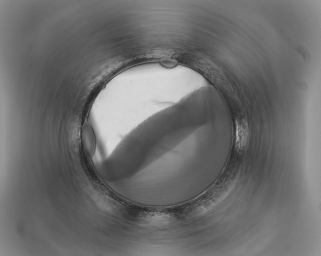 X0000113050348200909241500