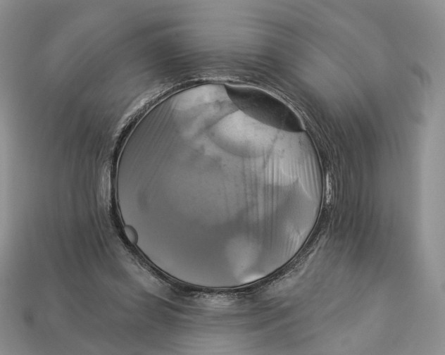 X0000113050349200909241500