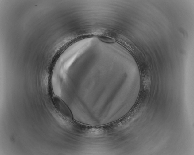 X0000113050350200909241500