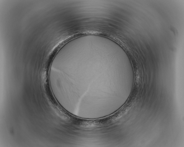 X0000113050351200909241500
