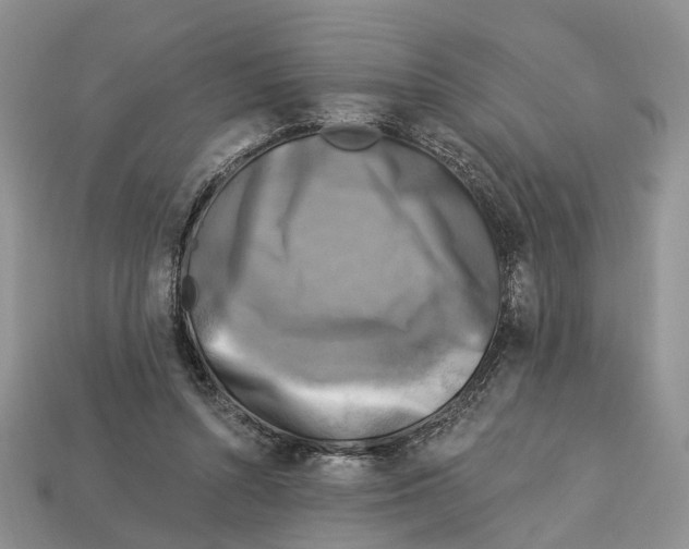 X0000113050352200909241500