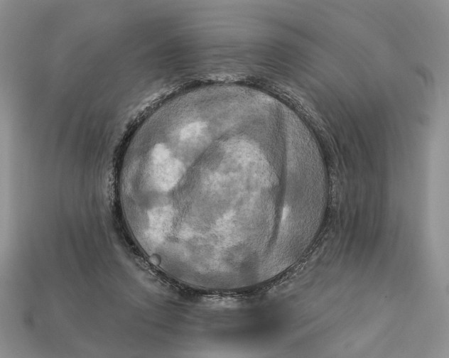 X0000113050354200909241500