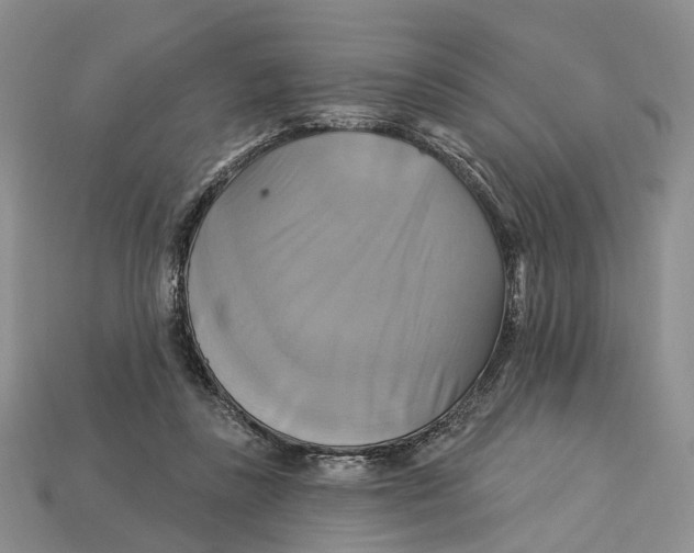 X0000113050355200909241500