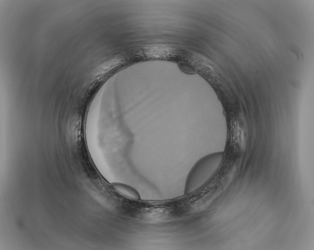 X0000113050356200909241500