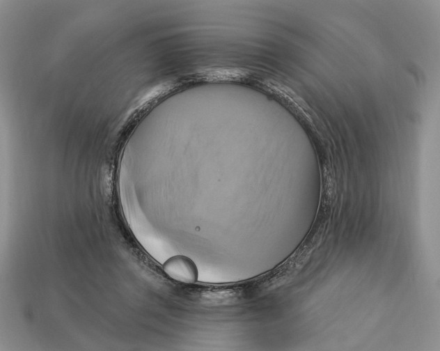 X0000113050357200909241500