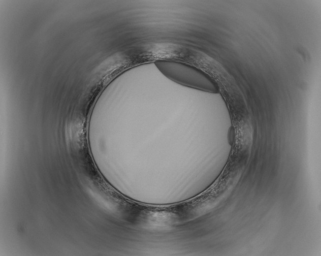 X0000113050360200909241500