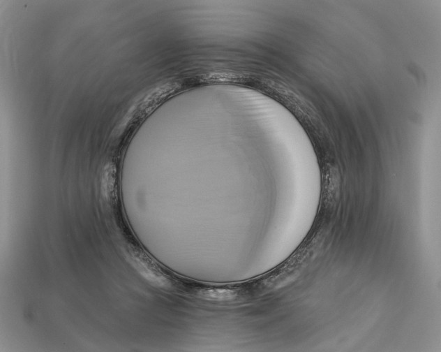 X0000113050361200909241500