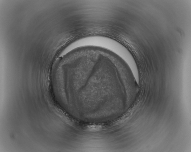 X0000113050362200909241500