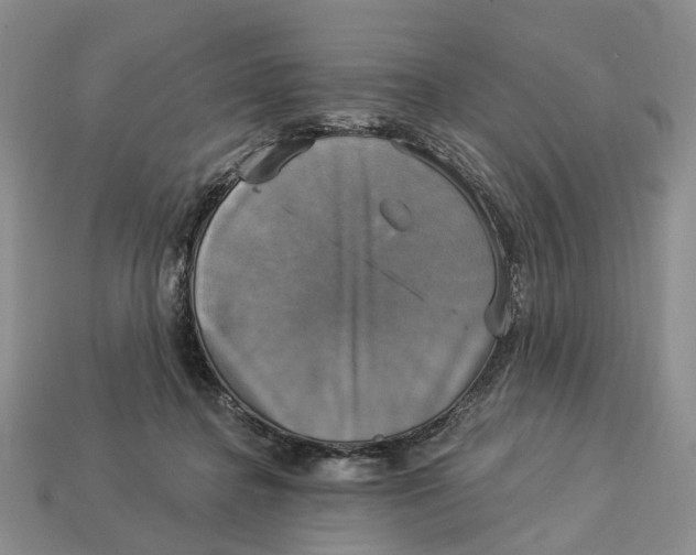 X0000113050364200909241500