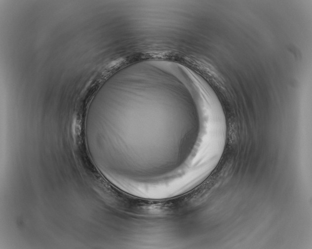X0000113050365200909241500