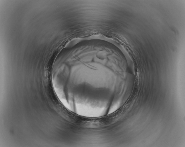 X0000113050366200909241500