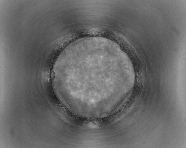 X0000113050368200909241500