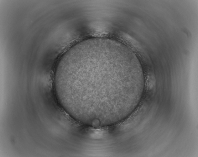 X0000113050370200909241500