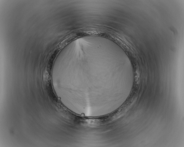 X0000113050371200909241500