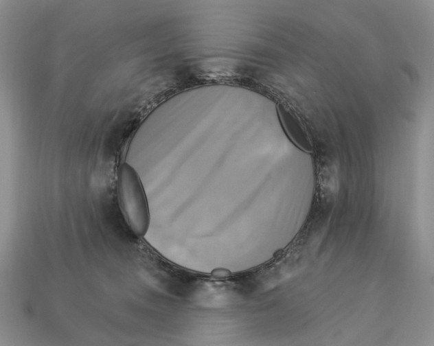 X0000113050372200909241500