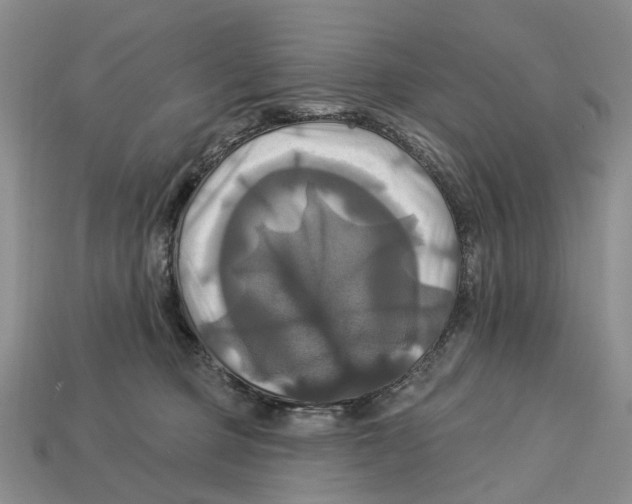 X0000113050373200909241500