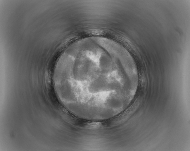 X0000113050374200909241500