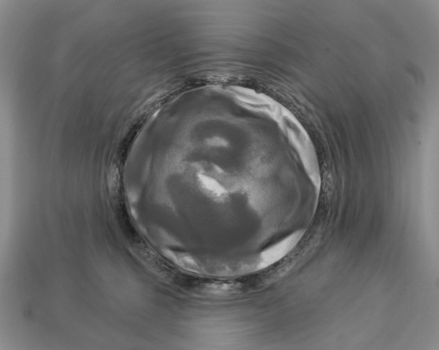 X0000113050375200909241500