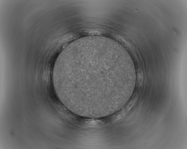 X0000113050379200909241500