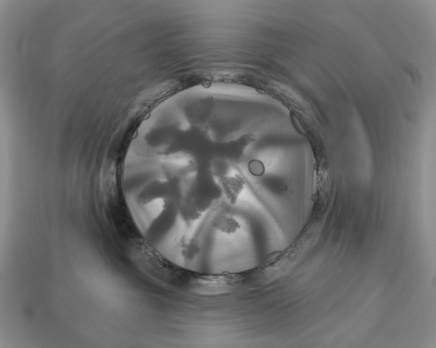 X0000113050381200909241500