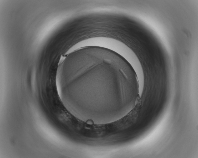 X0000113050382200909241500