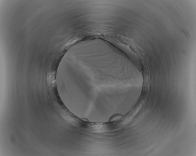 X0000113050383200909241500