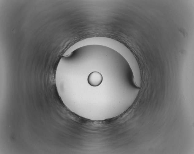 X0000113050384200909241500