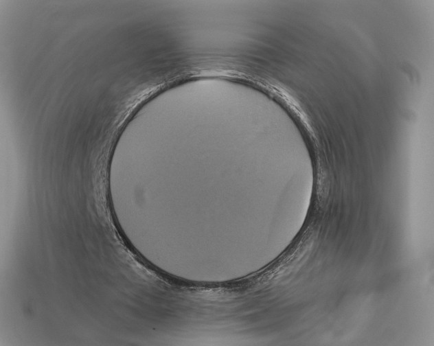X0000113050385200909241459