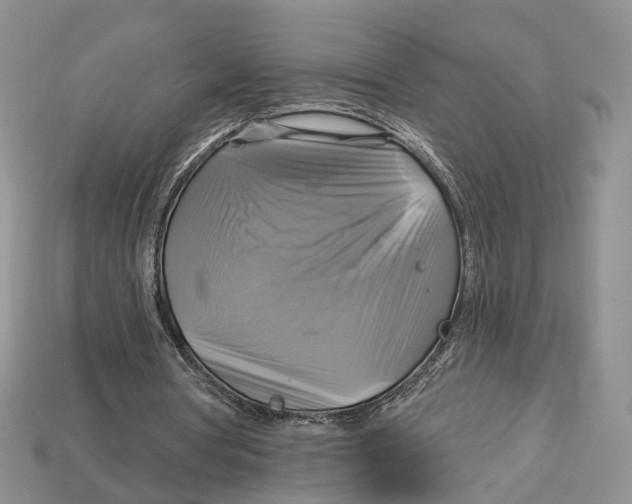 X0000113050386200909241459