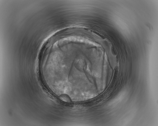 X0000113050388200909241459