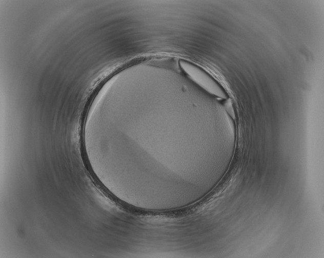 X0000113050389200909241459