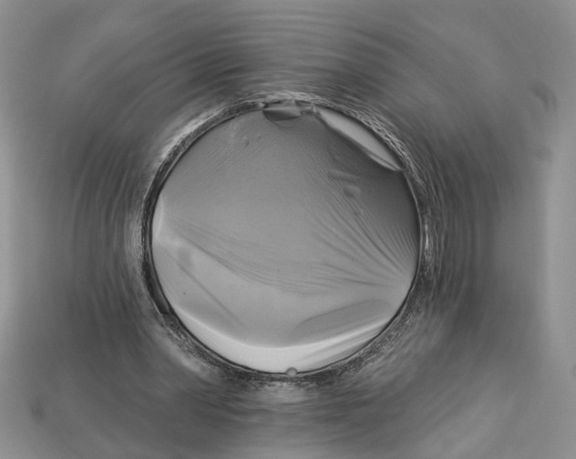 X0000113050390200909241459