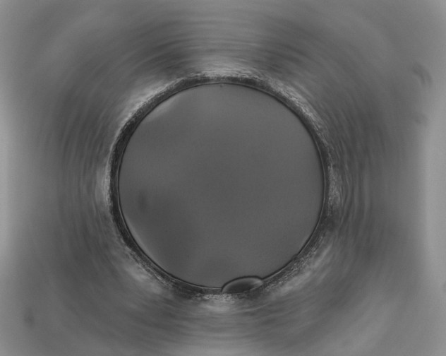 X0000113050391200909241459