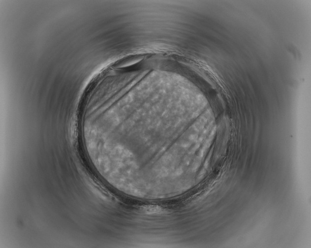 X0000113050392200909241459