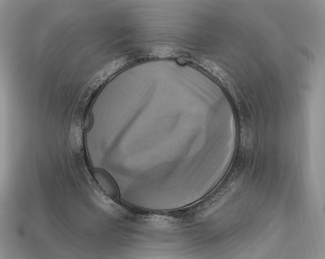 X0000113050393200909241459