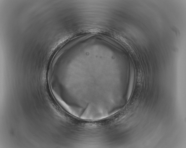 X0000113050394200909241459