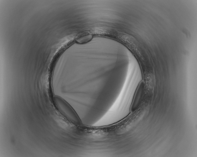 X0000113050395200909241459